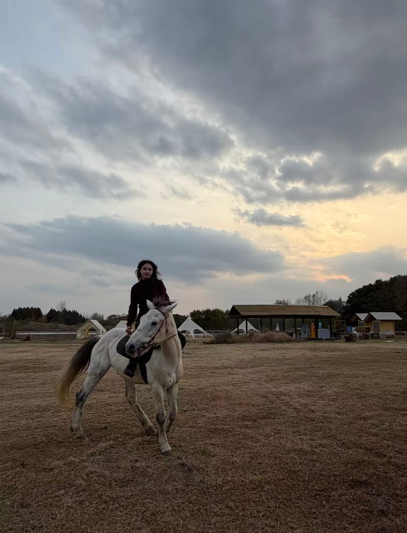 马术体验：内场与林间骑行