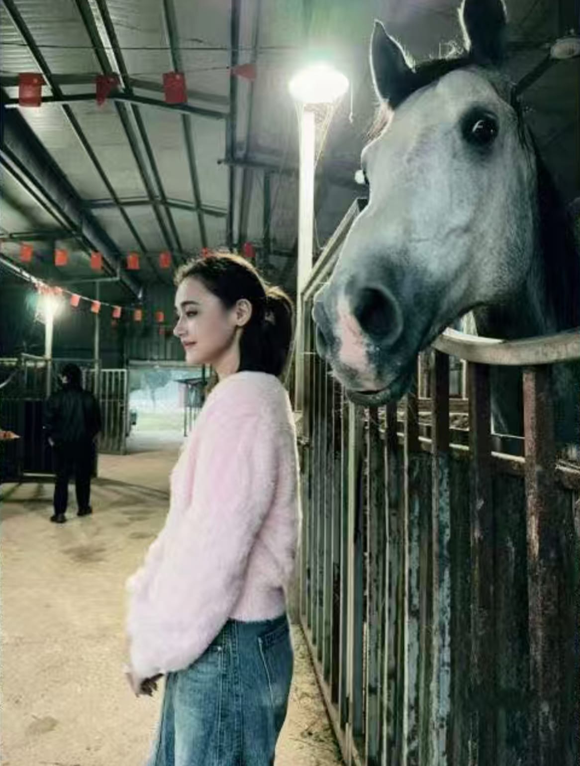 动物互动：马、牛、羊驼投喂体验